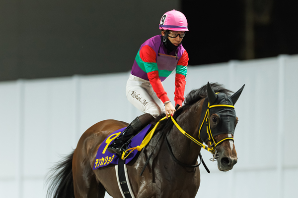 テンカジョウ,ⒸSPAIA（撮影：三木俊幸）