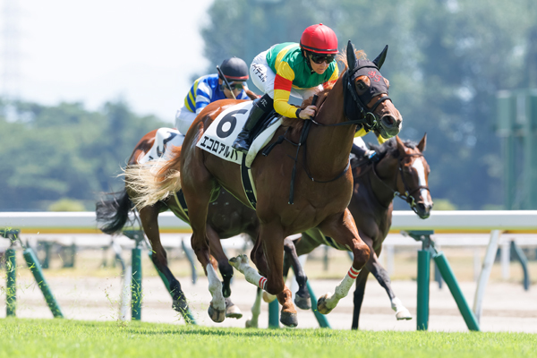 エコロアルバ,ⒸSPAIA(撮影:三木俊幸)