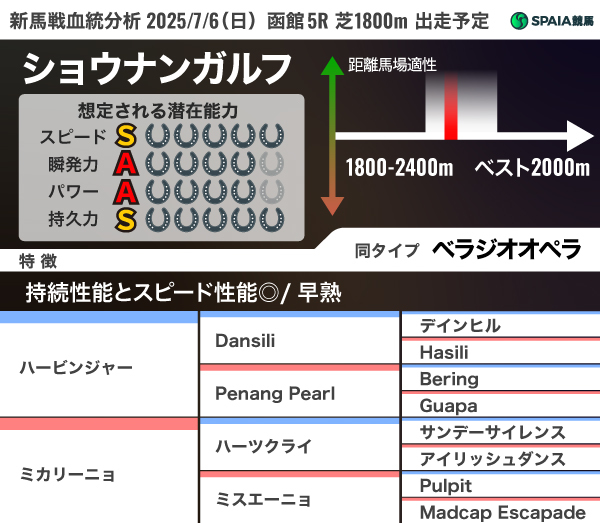 2025年7月6日（日）函館5R出走予定　ショウナンガルフの血統分析,ⒸSPAIA