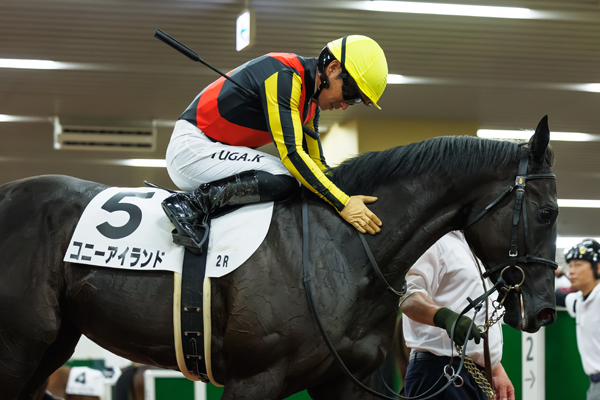 コニーアイランド,ⒸSPAIA（撮影：三木俊幸）