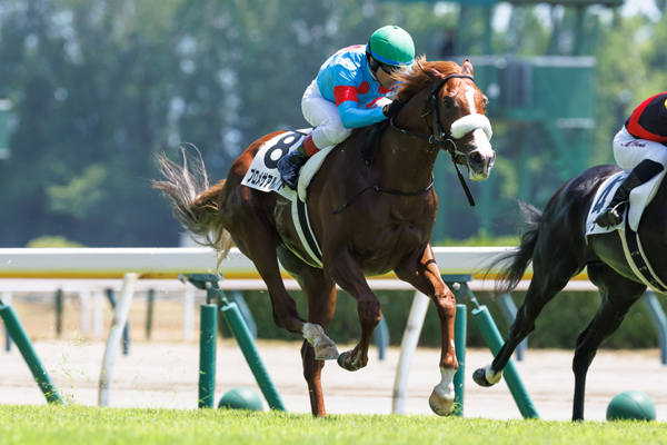 プロメサアルムンド,ⒸSPAIA（撮影：三木俊幸）