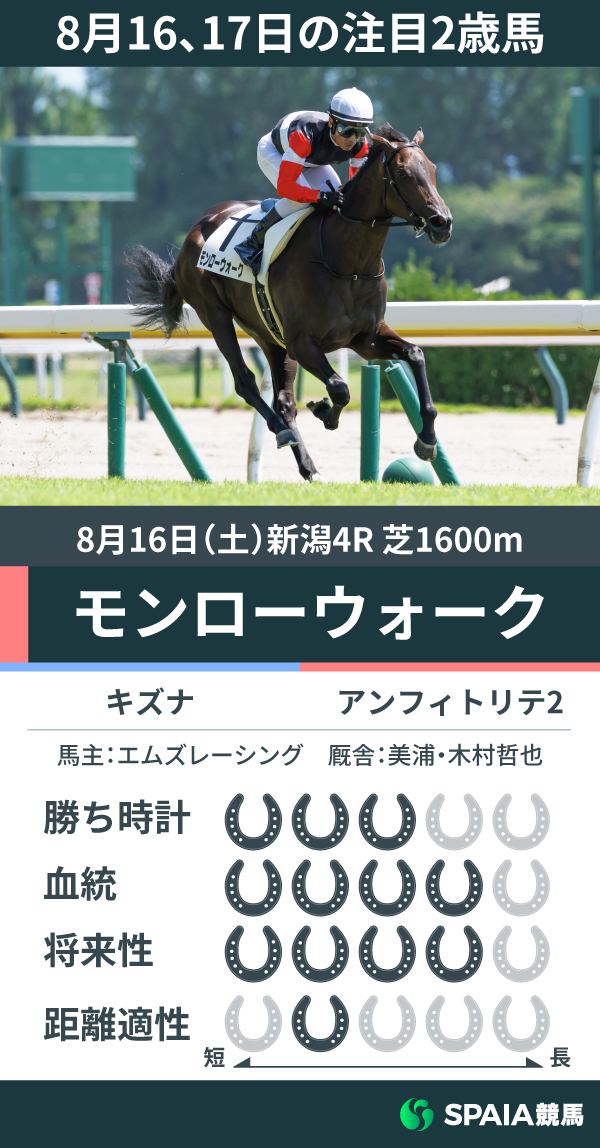 8月16、17日の注目2歳馬モンローウォーク,ⒸSPAIA（撮影：三木俊幸）