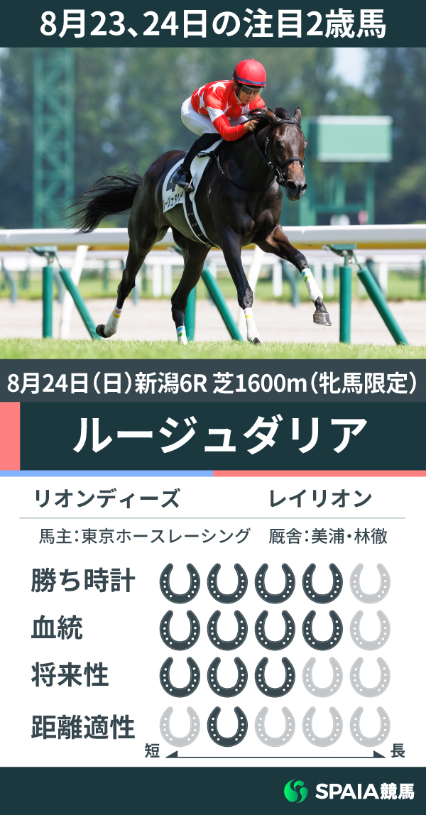 8月23、24日の注目2歳馬ルージュダリア,ⒸSPAIA（撮影：三木俊幸）