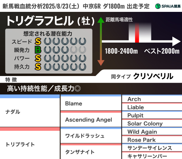 2025年8月23日(土)中京6R出走予定 トリグラフヒルの血統分析,ⒸSPAIA
