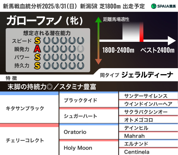 2025年8月31日（日）新潟5R出走予定　ガローファノの血統分析,ⒸSPAIA