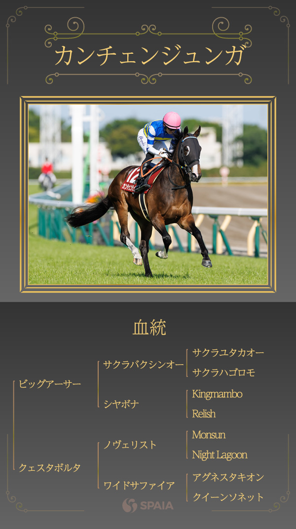 カンチェンジュンガの血統,ⒸSPAIA