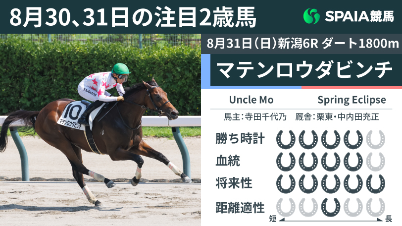 8月30、31日の注目2歳馬,ⒸSPAIA(撮影:三木俊幸)