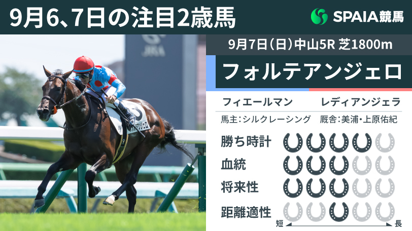 9月6、7日の注目2歳馬,ⒸSPAIA（撮影：三木俊幸）