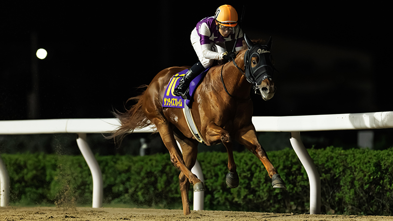 【テレ玉杯オーバルスプリント回顧】サンライズフレイムが3角先頭から押し切り重賞初制覇　菱田裕二騎手「二の脚がすごく速くて想定していた以上にいいポジションが取れました」