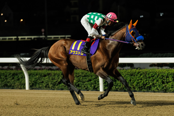 アウストロ,ⒸSPAIA（撮影：三木俊幸）