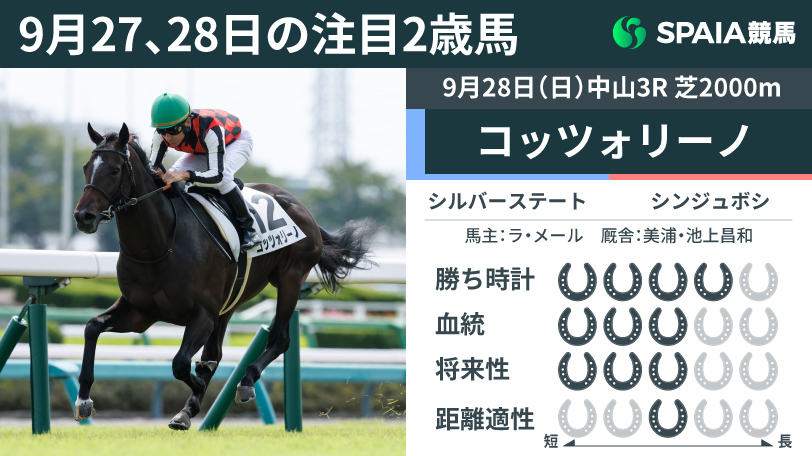 【注目2歳馬】シルバーステート産駒コッツォリーノが2馬身半差で初勝利　逃げて上がり最速タイの瞬発力で突き放す