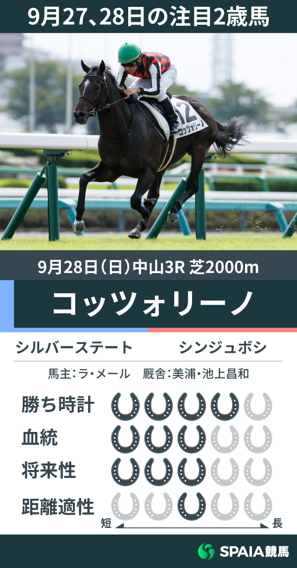 9月27、28日の注目2歳馬,ⒸSPAIA(撮影:三木俊幸)