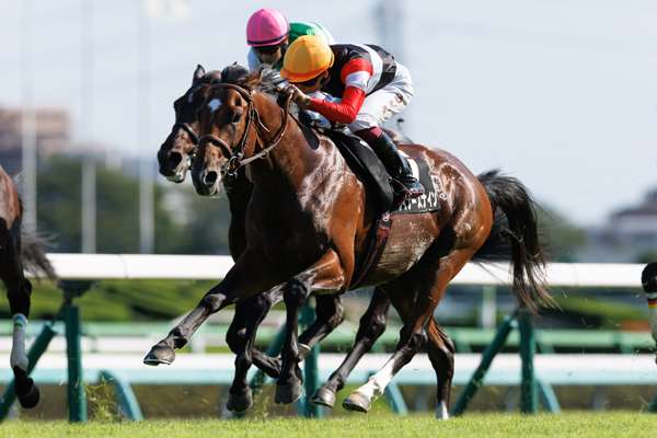 ウイナーズナイン,ⒸSPAIA(撮影:三木俊幸)