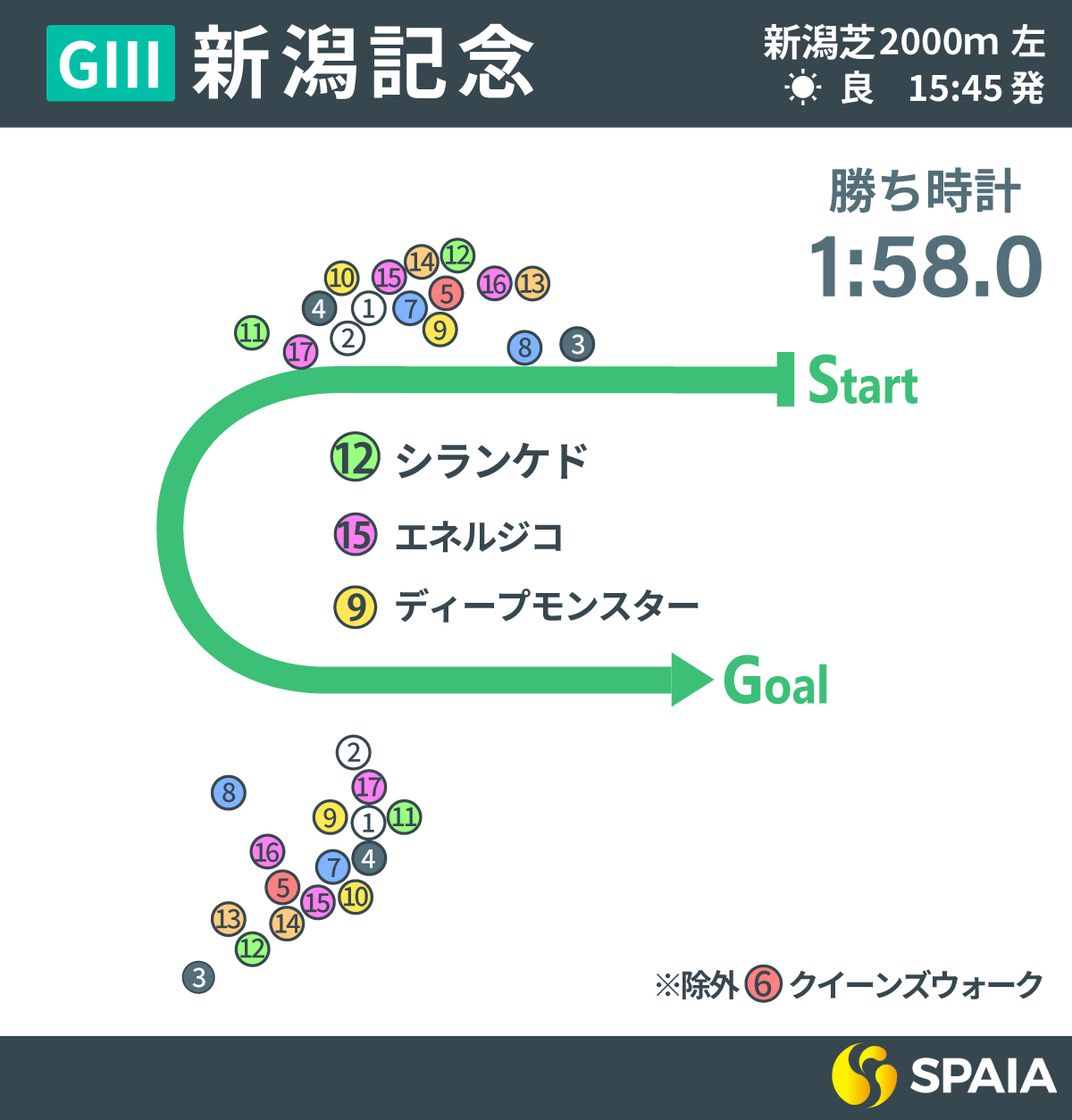 2025年新潟記念レース回顧,ⒸSPAIA