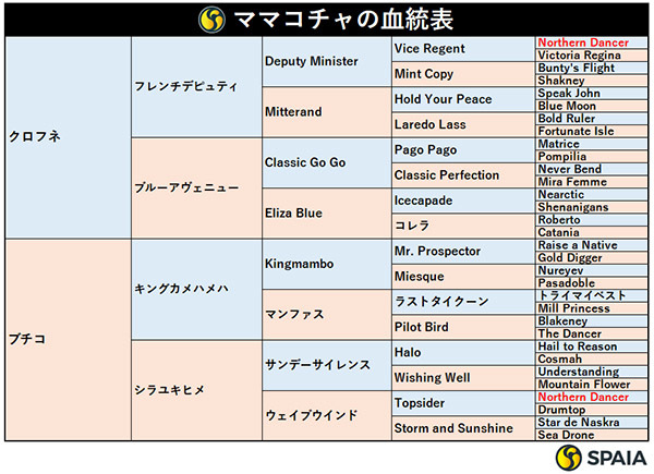 ママコチャの血統表,ⒸSPAIA