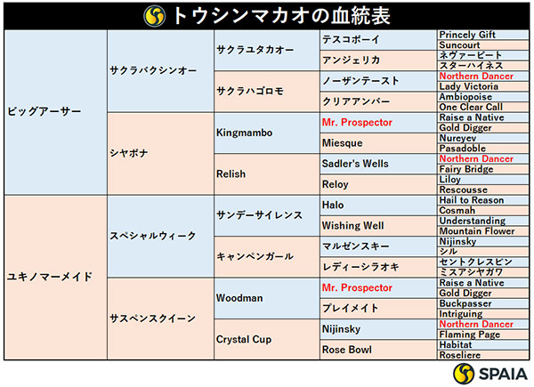 トウシンマカオの血統表,ⒸSPAIA