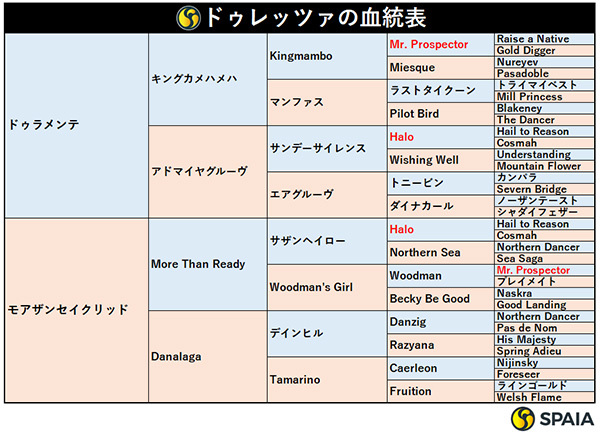 ドゥレッツァの血統表,ⒸSPAIA