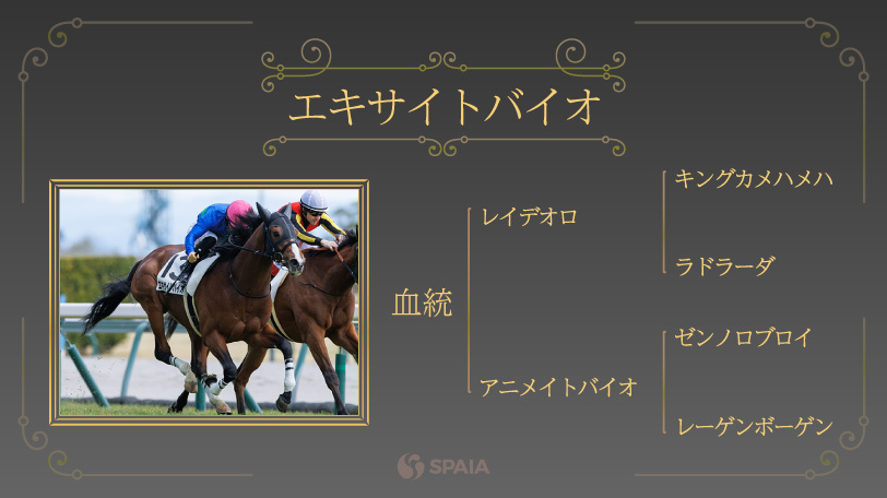 【菊花賞】3000mも雨も大歓迎　エキサイトバイオが秋の長距離戦で輝く