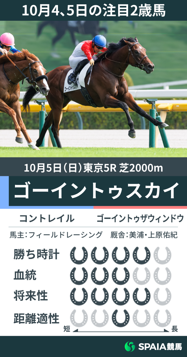 10月4、5日の注目2歳馬ゴーイントゥスカイ,ⒸSPAIA(撮影:三木俊幸)