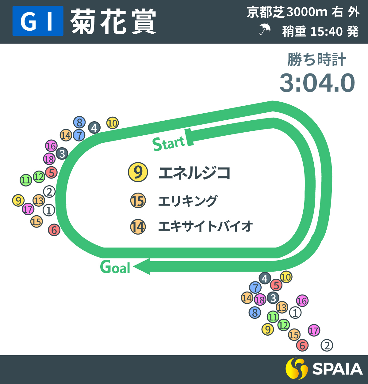 2025年菊花賞、レース回顧,ⒸSPAIA