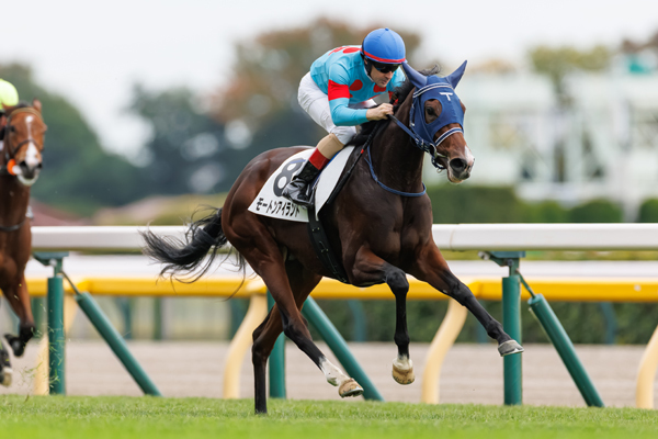 モートンアイランド,ⒸSPAIA(撮影:三木俊幸)