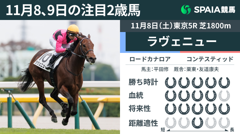 11月8、9日の注目2歳馬ラヴェニュー,ⒸSPAIA(撮影:三木俊幸)