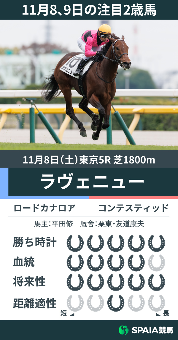 11月8、9日の注目2歳馬ラヴェニュー,ⒸSPAIA(撮影:三木俊幸)