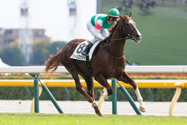 グリーンエナジー,ⒸSPAIA(撮影:三木俊幸)