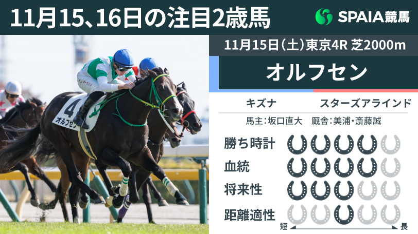 11月15、16日の注目2歳馬,ⒸSPAIA（撮影：三木俊幸）