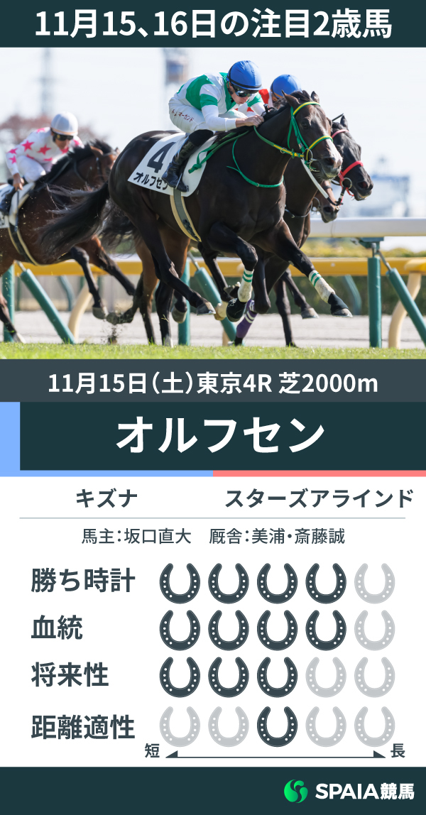 11月15、16日の注目2歳馬,ⒸSPAIA（撮影：三木俊幸）