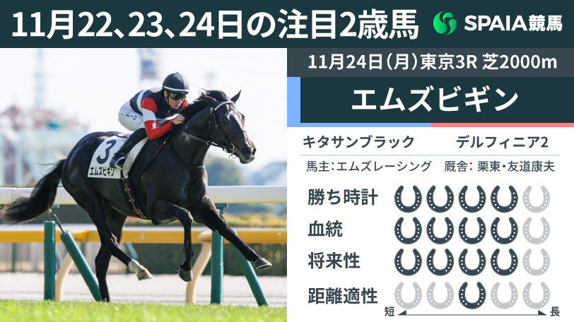 【注目2歳馬】キタサンブラック産駒エムズビギンが2戦目で初勝利　スタートと折り合いに課題残すも2馬身半差の完勝