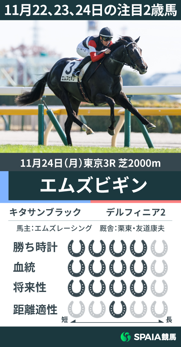 11月22、23、24日の注目2歳馬,ⒸSPAIA（撮影：三木俊幸）