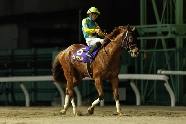 デルマソトガケ,ⒸSPAIA（撮影：三木俊幸）