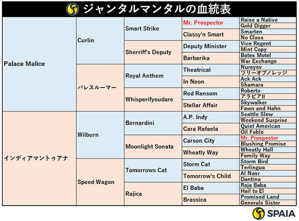 ジャンタルマンタルの血統表,ⒸSPAIA