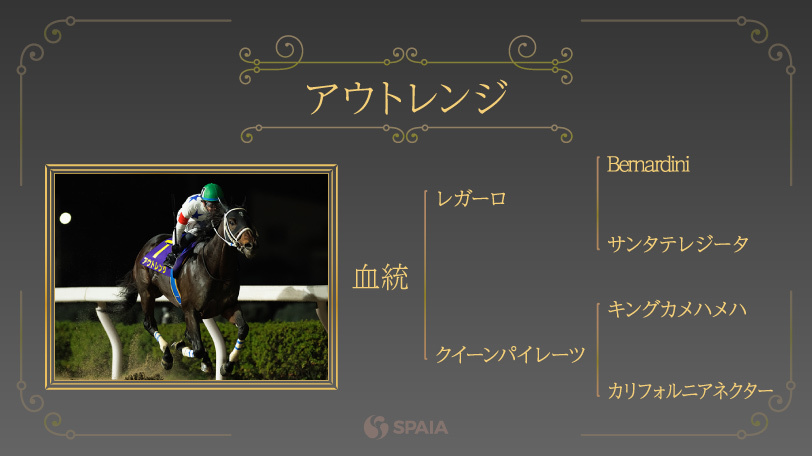 【チャンピオンズC】希少なレガーロ産駒アウトレンジの一発に期待　母父キングカメハメハも加点材料