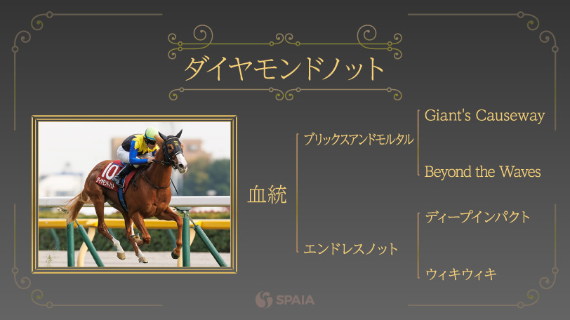 【朝日杯FS】偉大な父から出た待望の“芝の大物候補”　ダイヤモンドノットの一発に期待