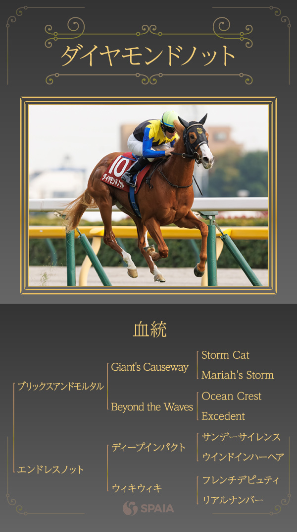 ダイヤモンドノット,ⒸSPAIA