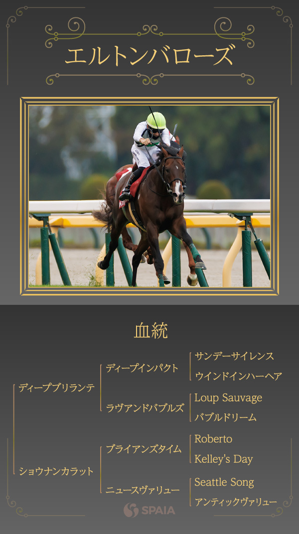 エルトンバローズ,ⒸSPAIA
