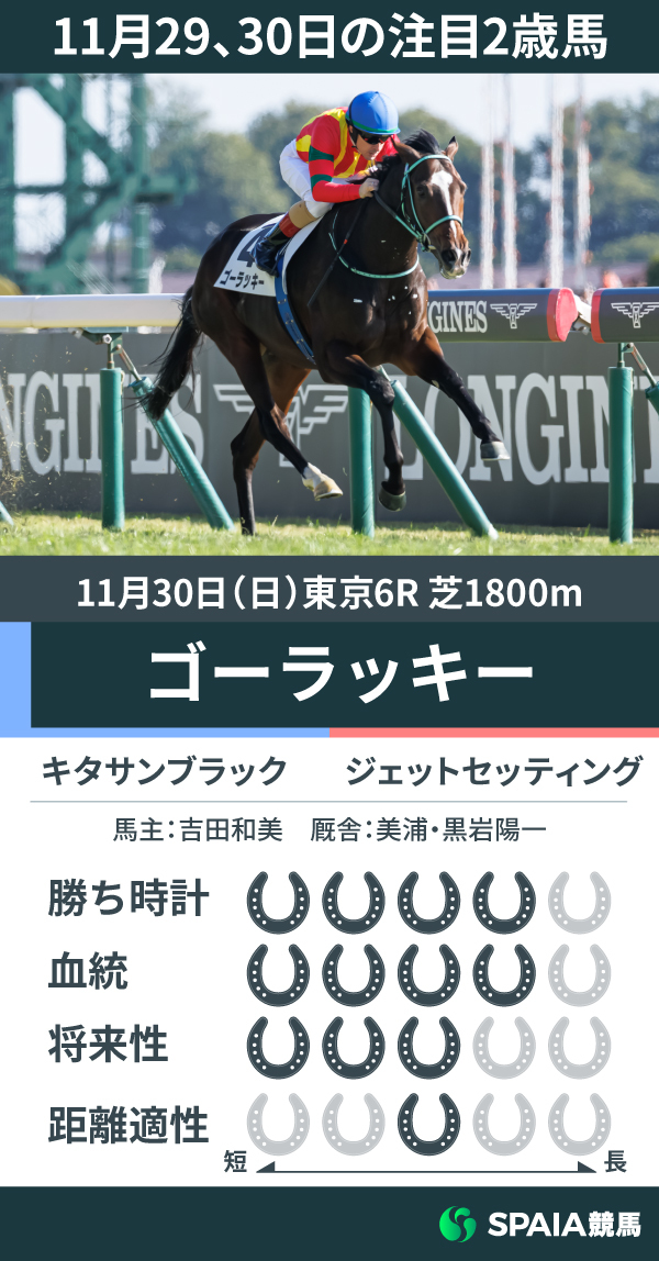 11月29、30日の注目2歳馬ゴーラッキー,ⒸSPAIA（撮影：三木俊幸）