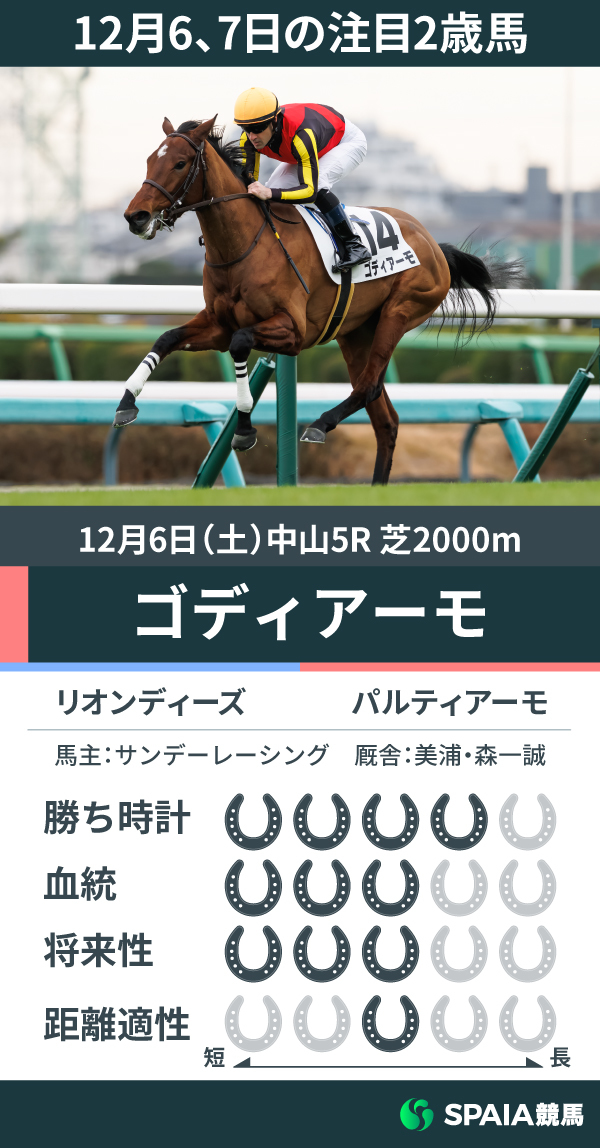 12月6、7日の注目2歳馬ゴディアーモ,ⒸSPAIA（撮影：三木俊幸）
