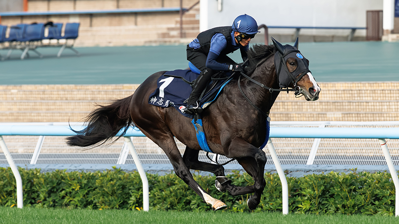 香港マイルに向けて調教を行うソウルラッシュ,ⒸSPAIA(撮影:三木俊幸)