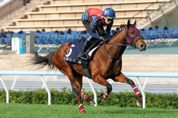 エンブロイダリー