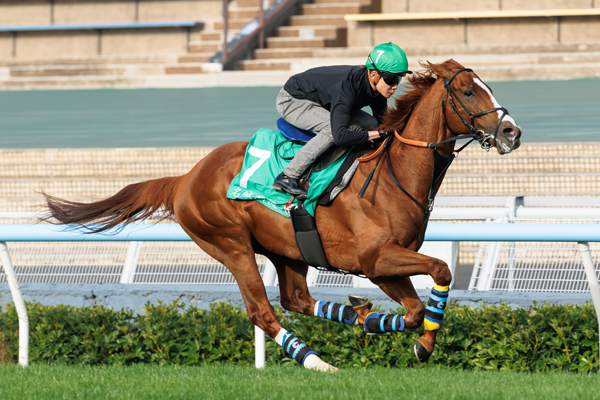 アーバンシック