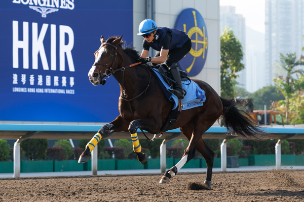 ローシャムパーク