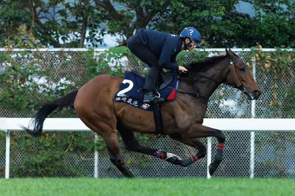 ヴォイッジバブル