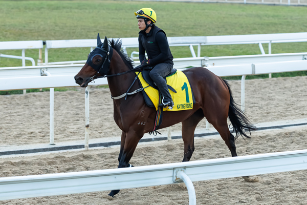 カーインライジング