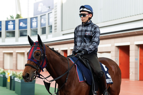 パドックスクーリングを行うエンブロイダリー,ⒸSPAIA(撮影:三木俊幸)