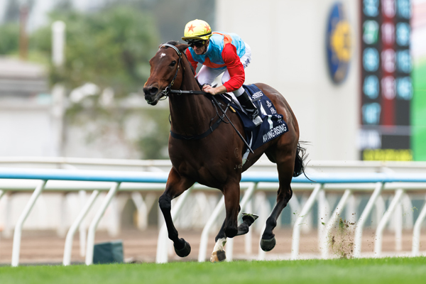 カーインライジング,ⒸSPAIA（撮影：三木俊幸）