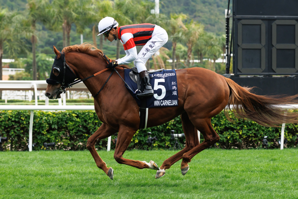 ウインカーネリアン,ⒸSPAIA（撮影：三木俊幸）