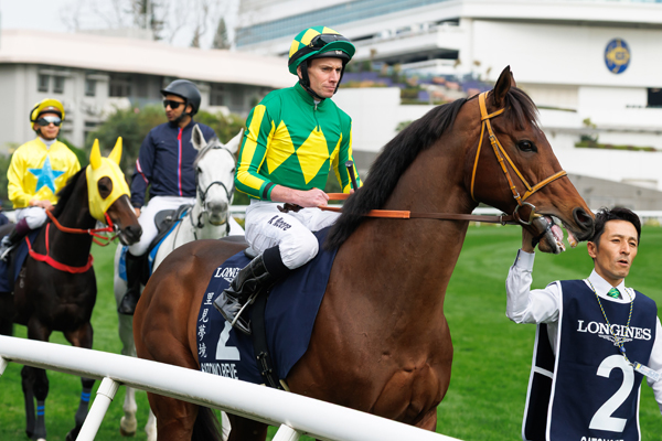 サトノレーヴ,ⒸSPAIA（撮影：三木俊幸）